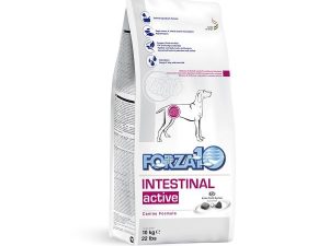 Forza10 Intestinal Active maistas šunims