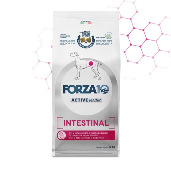 Forza10 Intestinal Active šunims su žarnyno sutrikimais