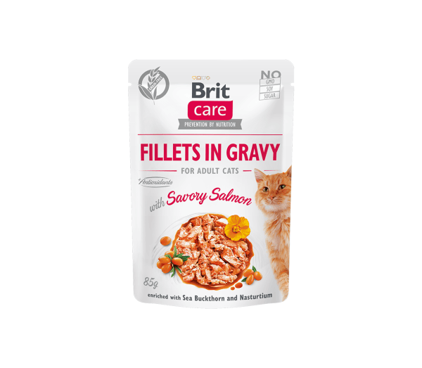 Brit kačių maistas, konservai katėms