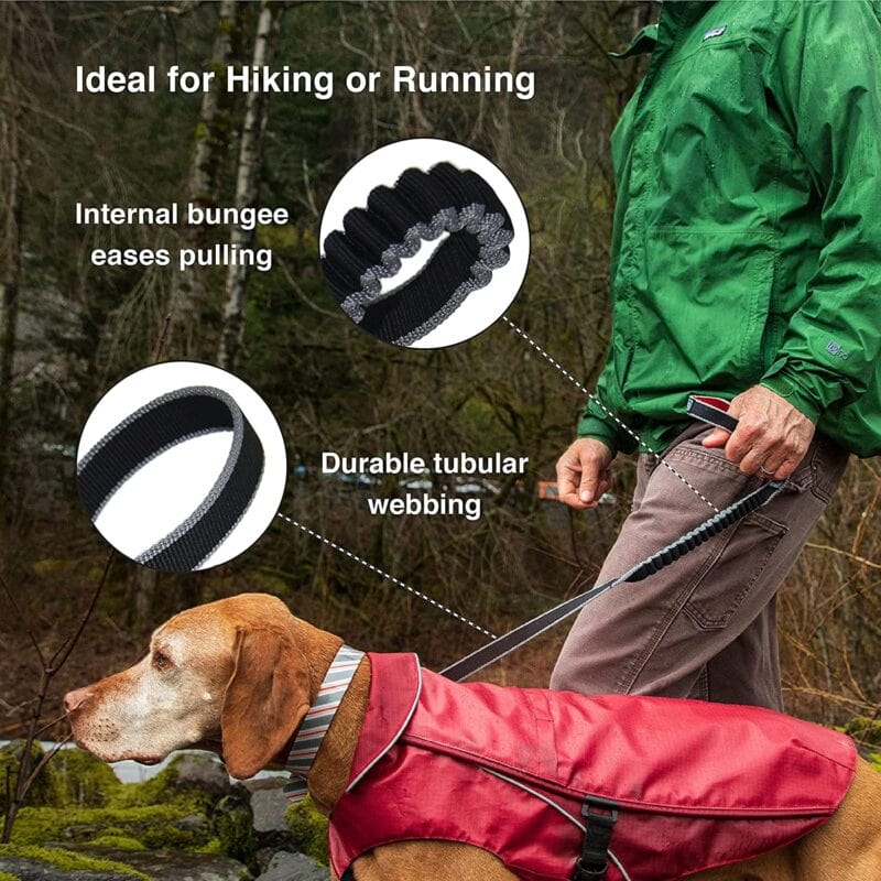 kurgo springback leash