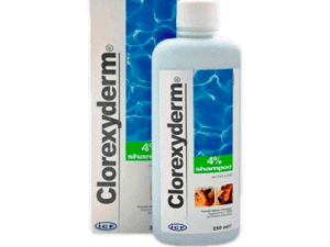 Clorexyderm 4% šampūnas šunim ir katėms turintis priešgrybelinį poveikį 250ml