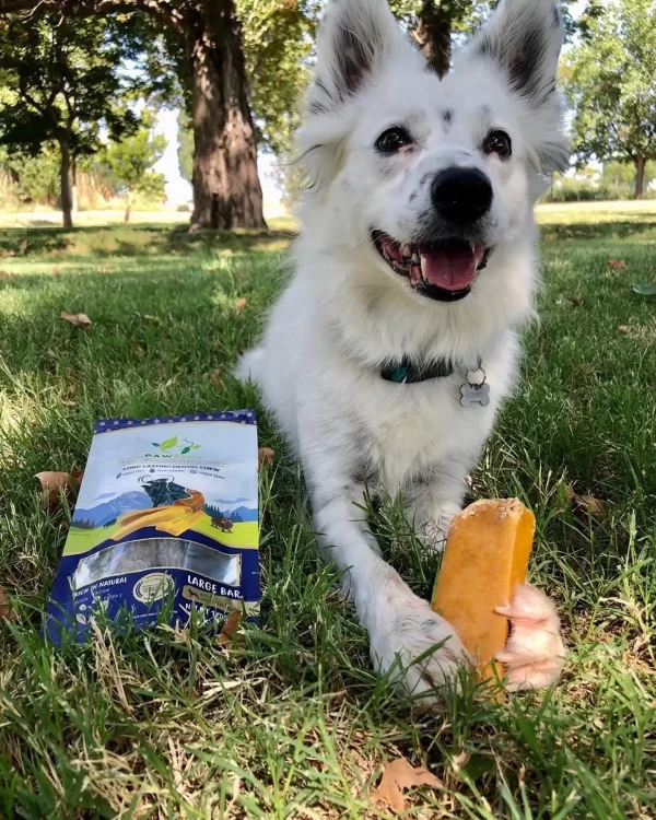 Pawfect Himalajų sūrio lazdelės šunims