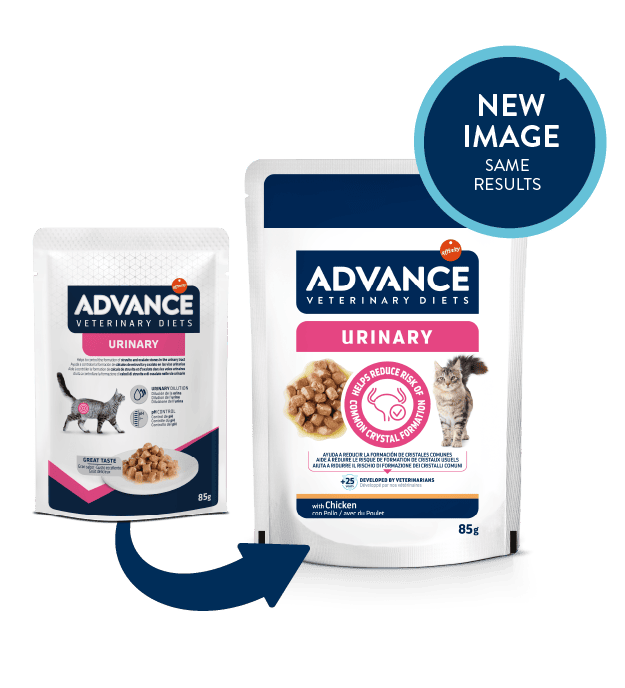 Advance Wet Urinary Cat 85g x 12 vnt Advance Wet Urinary Cat 85g x 12 vnt