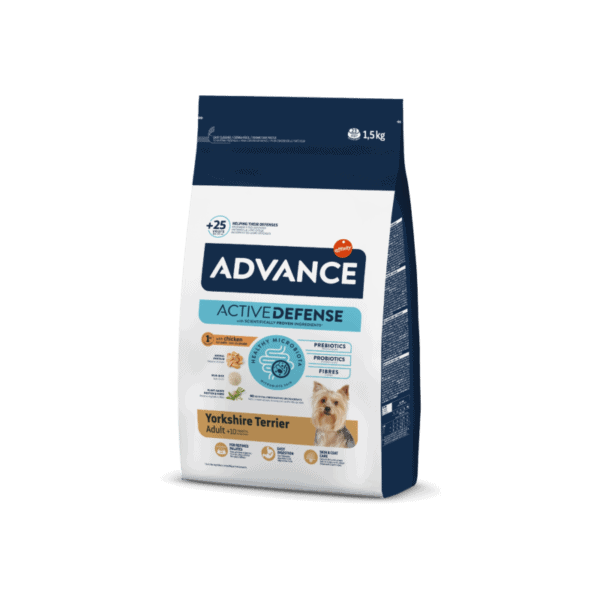 Advance Yorkshire Terrier