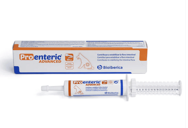 PROENTERIC ADVANCED pasta šunims 15ml PROENTERIC ADVANCED pasta šunims 15ml