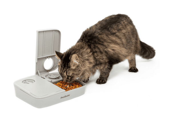 Petsafe 2 Meal Pet Feeder automatinė dviejų maitinimų šėrykla