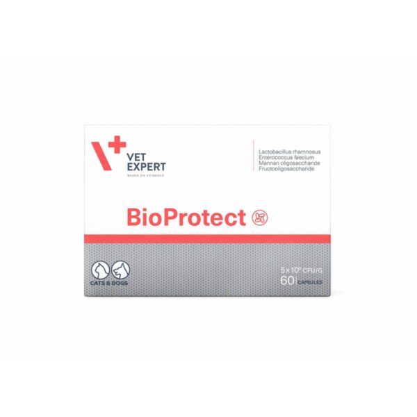 Vet expert papildai šunims ir katėms BioProtect 60 kaps.
