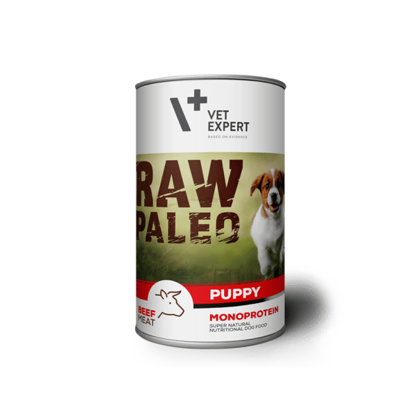 RAW PALEO puppy beef 400gx6vnt