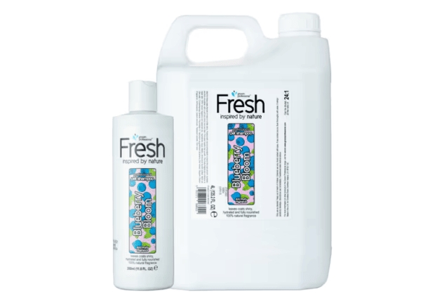 Groom Professional Fresh Blueberry Bloom šampūnas 350ml