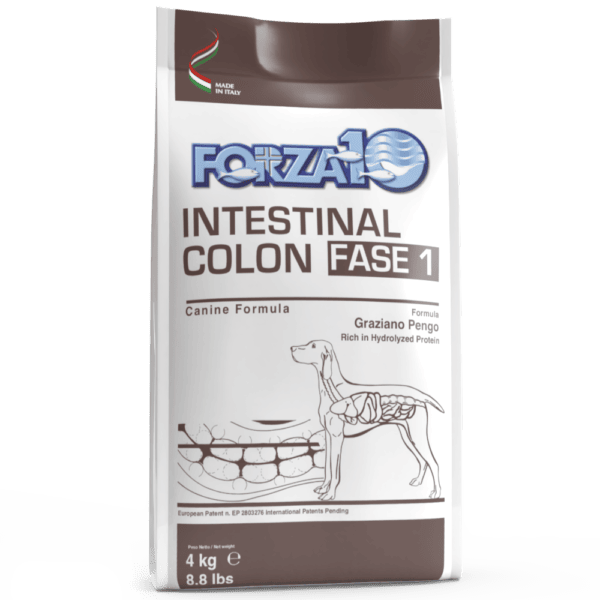 Forza10 Intestinal Colon Fase 1 šunims sergantiems virškinamojo trakto ligomis