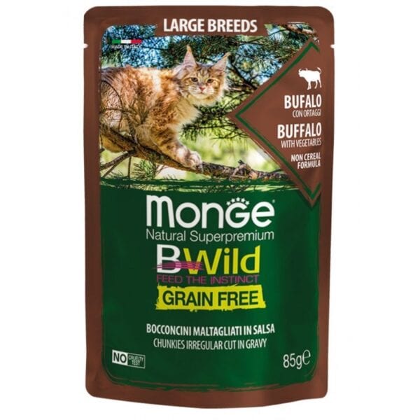 Monge BWild