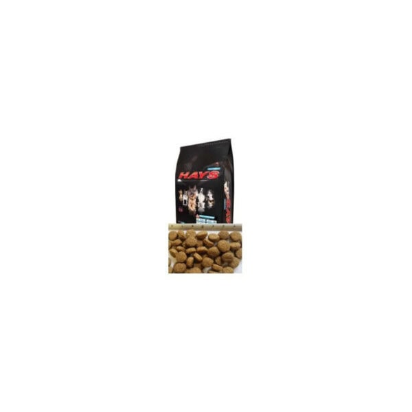 0000618 family dog hays visavertis sausas pasaras su antiena15kg