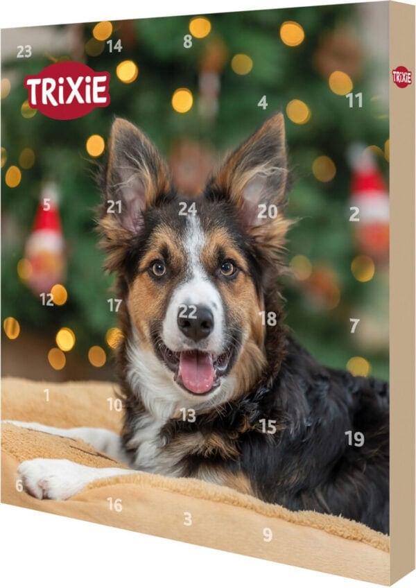 TRIXIE Xmas Advento kalendorius šunims 30×34 ×3.5 cm