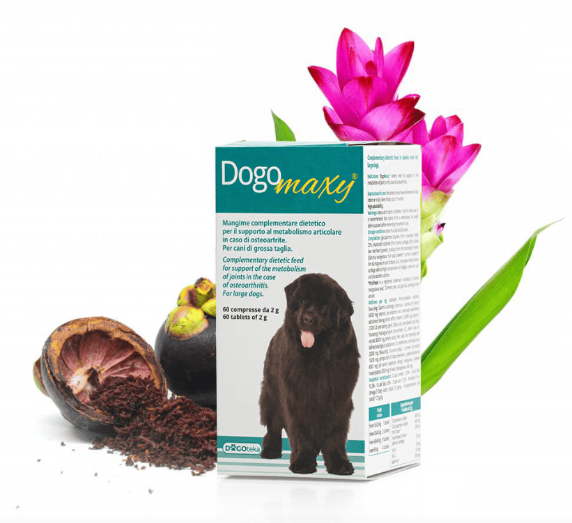 0003870_dg36386-dogoteka-dogomaxy-60-tabl 0003870 dg36386 dogoteka dogomaxy 60 tabl