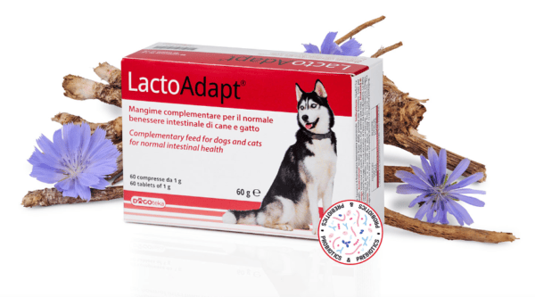 0003873 dg31341 dogoteka lactoadapt 60 60 tabl