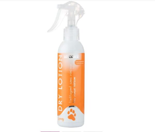 Diamex Dry Lotion Spray sausas šampūnas kailiui 200 ml