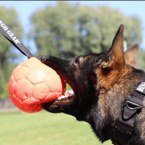 Oranžinis eko odos kamuoliukas su kilpa pripučiamas 8 cm