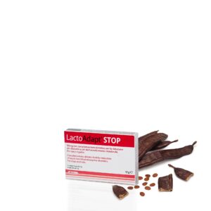 DOGOTEKA LactoAdapt STOP 6 tabl papildomas pašaras šunims ir katėms