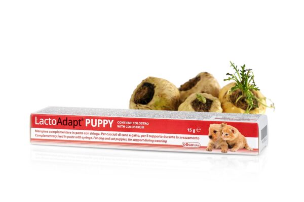 0004229 dg30112 dogoteka lactoadapt puppy pasta 15 g