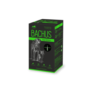 Bachus Hair & Skin papildai šunims ir katėms 60 tabl.