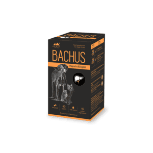Bachus Hepatic & Digest papildai šunims ir katėms 60 tabl.