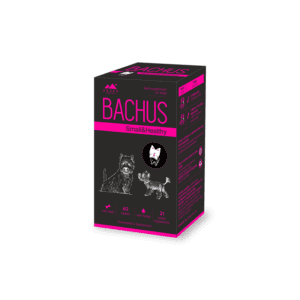 Bachus Small & Healthy papildai šunims 60 tabl.