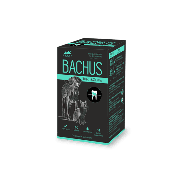 Bachus Teeth & Gums papildai šunims ir katėms 60 tabl.