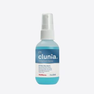 CLUNIA® EasyDent Spray dantų ir burnos purškalas 59ml