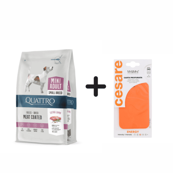 Quattro Mini Adult Lamb sausas maistas šunims 7 kg + kvapukas