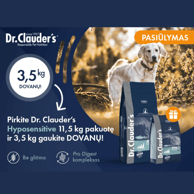 Dizainas be pavadinimo 3
