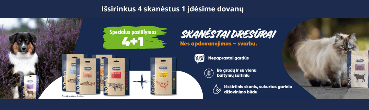 Itraukti antraste
