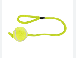 TRIXIE Tennis kamuolys su virve