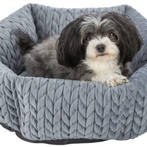 Livia guolis apvalus