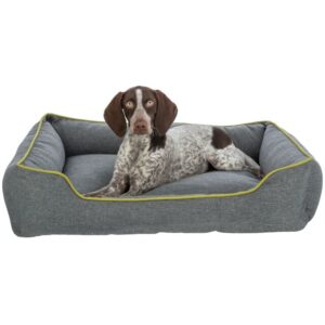 Nio guolis keturkampis