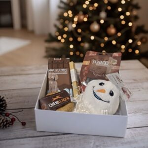 Šventinis dovanų rinkinys šunims