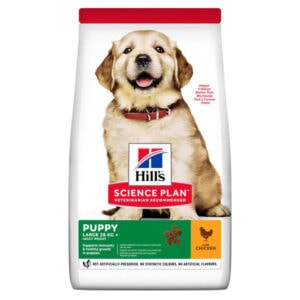 HILLS SP Puppy large breed chicken sausas maistas didelių veislių jauniems šuniukams16 kg
