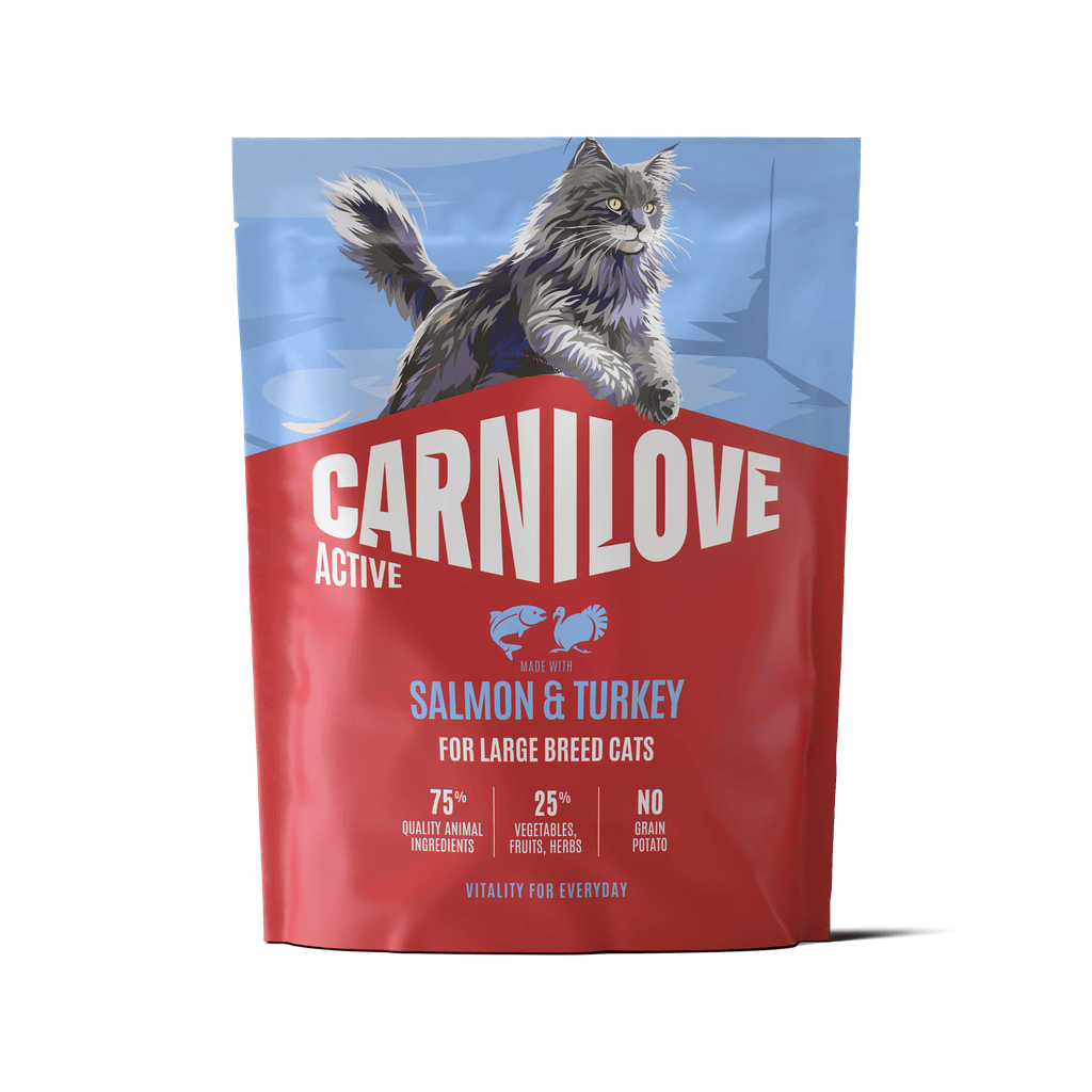 CARNILOVE ACTIVE Cat Salmon & Turkey Large Breeds sausas pašaras katėms 400 g CARNILOVE ACTIVE Cat Salmon & Turkey Large Breeds sausas pašaras katėms 400 g