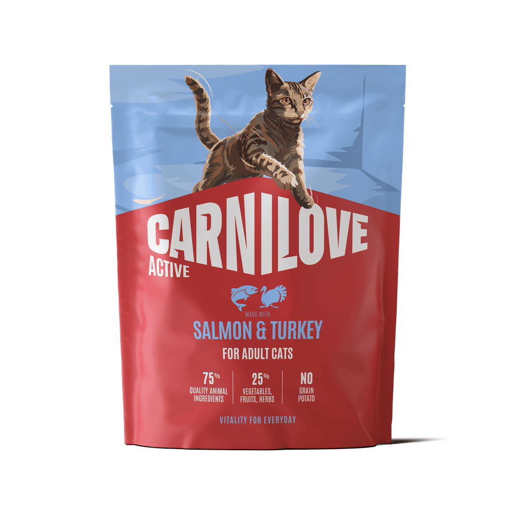CARNILOVE ACTIVE Cat Salmon & Turkey sausas pašaras katėms 400 g CARNILOVE ACTIVE Cat Salmon & Turkey sausas pašaras katėms 400 g