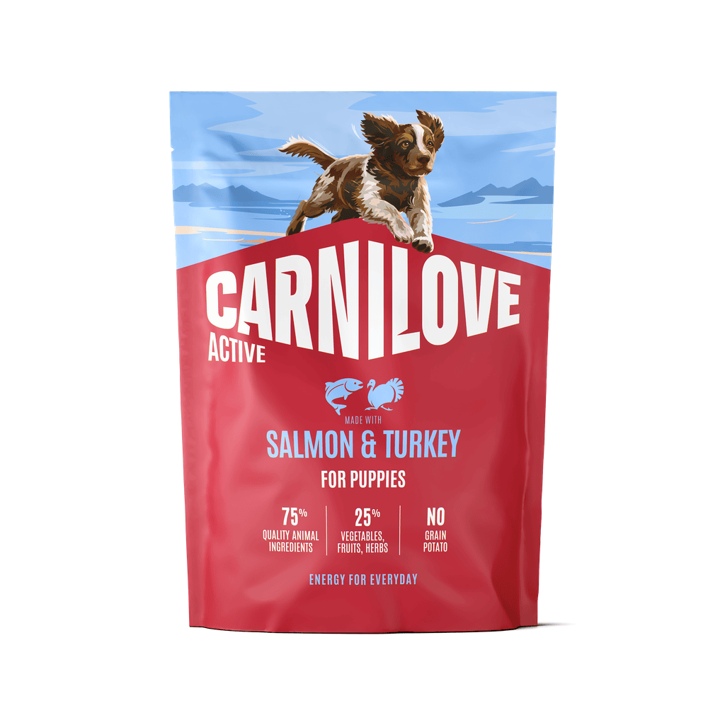 CARNILOVE ACTIVE Dog Salmon & Turkey Puppy sausas pašaras šuniukams 1,5 kg CARNILOVE ACTIVE Dog Salmon & Turkey Puppy sausas pašaras šuniukams 1,5 kg