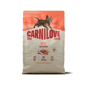 CARNILOVE TRUE FRESH Cat Dry Beef for Kittens sausas pašaras kačiukams 2kg