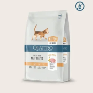 QUATTRO Kitten sausas kačiukų pašaras su daug paukštienos 1,5 kg