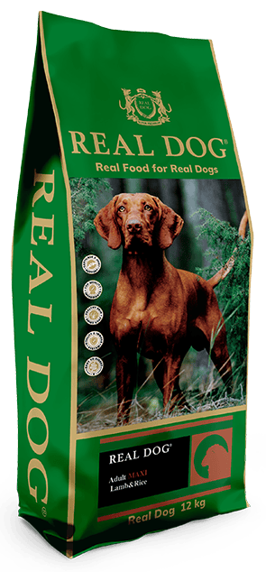 0005572_rd70257-real-dog-sp-adult-maxi-lambrice-12-kg 0005572 rd70257 real dog sp adult maxi lambrice 12 kg