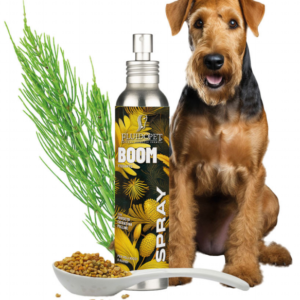 Fluido Ppet Boom Spray fiksavimo purškiklis 150ml